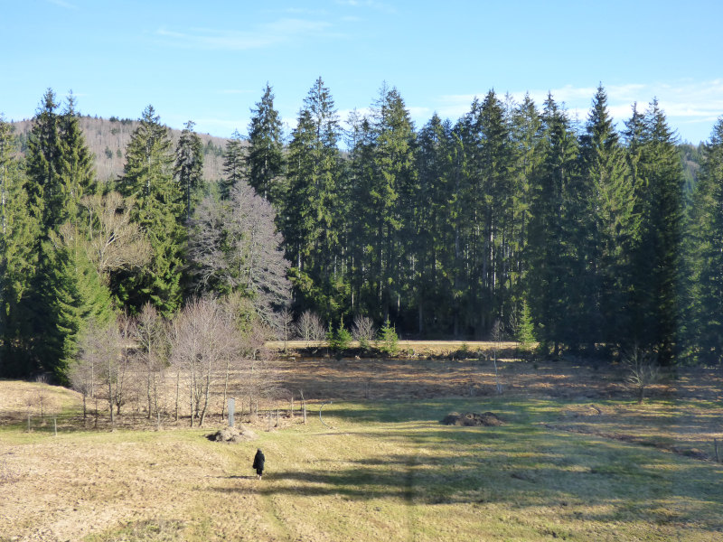 Blick aus dem Fenster